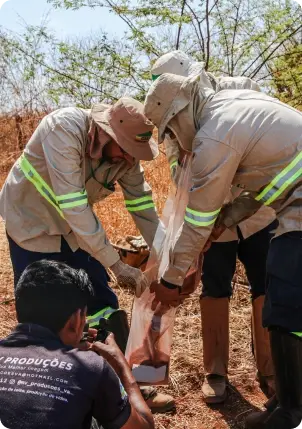 Equipe da Cabugi trabalhando em campo na caatinga, com uniforme e equipamento de proteção